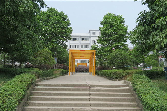 四川省大英县中等职业技术学校图片、照片