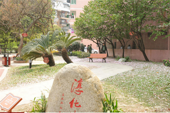 四川省双流建设职业技术学校 图片、照片