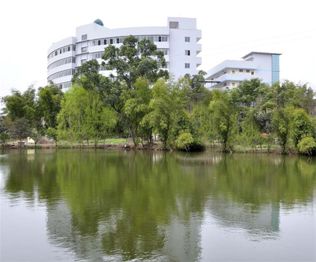 四川省幼儿师范高等专科学校图片、照片