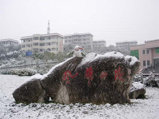 四川省幼儿师范高等专科学校图片、照片