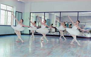 绵阳市艺术学校图片、照片