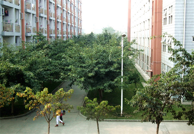 四川省商贸学校图片