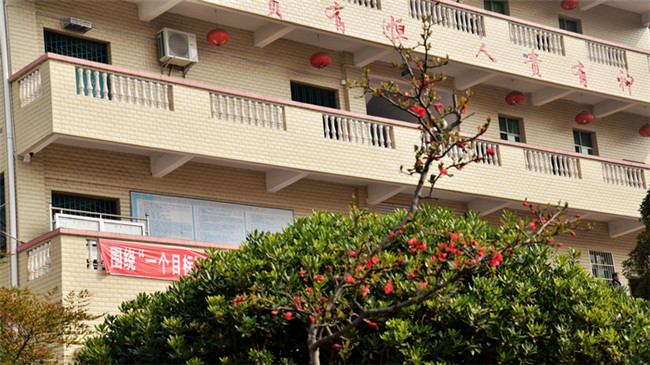 四川省南部县升钟职业中学图片、照片