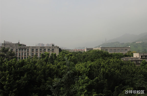 重庆知行卫生学校沙坪坝图片、照片