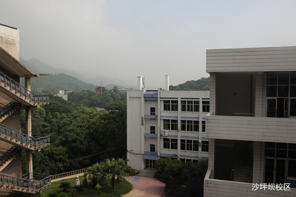 重庆知行卫生学校沙坪坝图片、照片