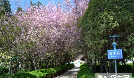 昆明高级技工学校