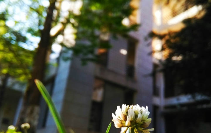 四川省康复治疗专业学校怎么样 哪个好