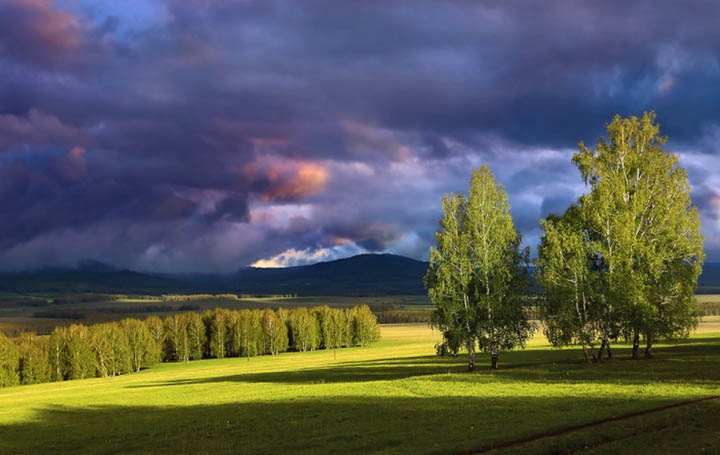 四川省有哪些好的口腔医学专业学校
