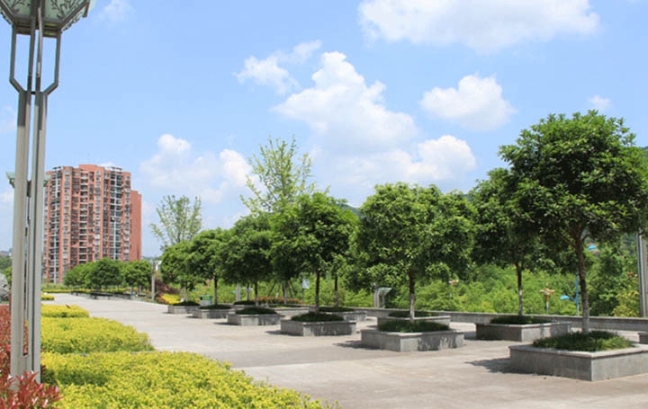 在四川省护理专业工资一般多少