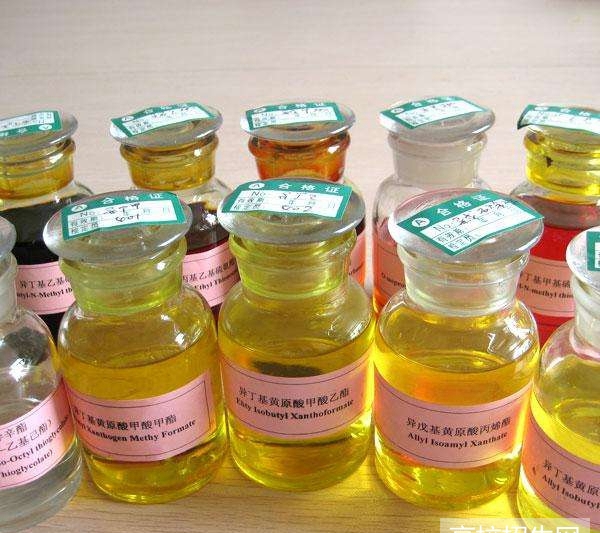 贵州省药剂专业最好的本科学校是哪所？