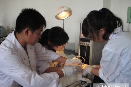 重庆市临床医学专业学校招生计划及简介