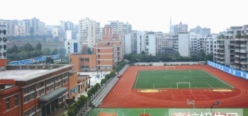 重庆市中医药专业最好的学校是哪个？