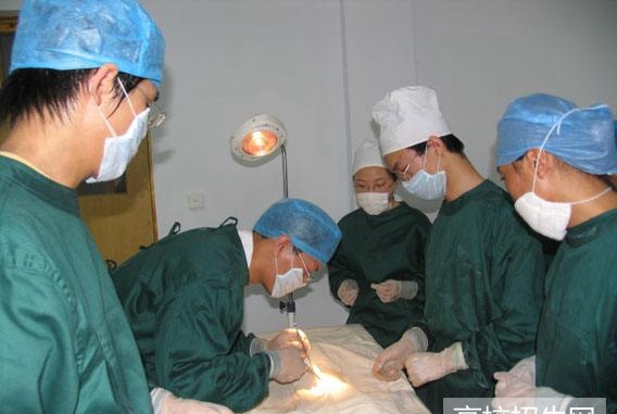 重庆市哪所本科学校的临床医学专业比较好