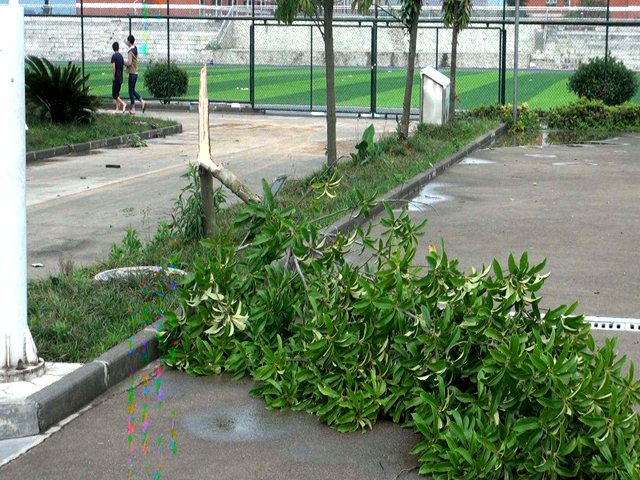 湄潭县中等职业学校遭受新校建设的一次严重受灾