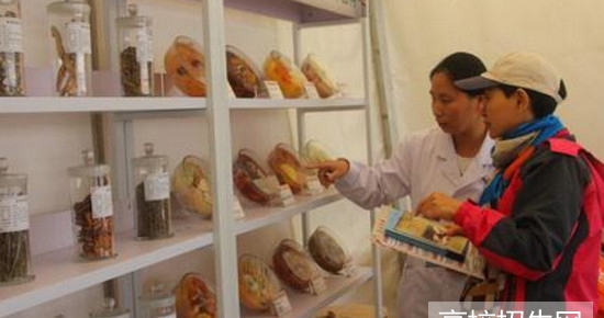 重庆市哪所本科学校的中医药专业比较好