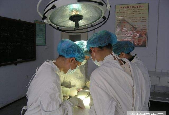 贵州省哪里有临床医学专业学校招生，有几个