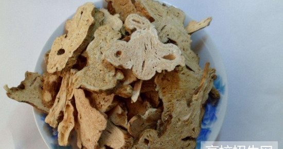 重庆市哪里有中医药专业学校招生，有几个