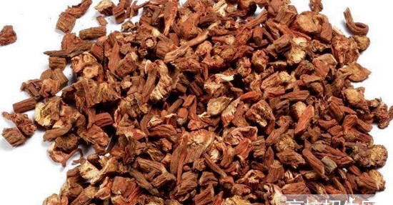 重庆市女生可以读中医学专业大专学校吗