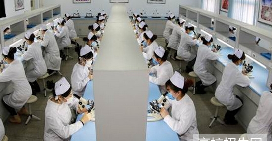 贵州省护理专业专科学校怎么报名