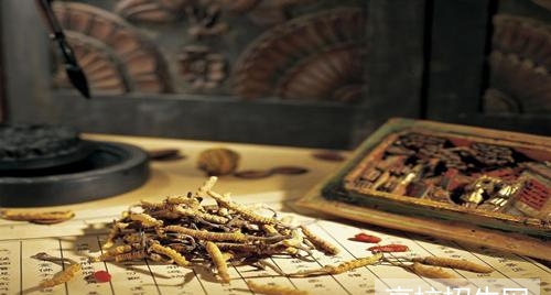 重庆市学中医药专业选择哪个学校