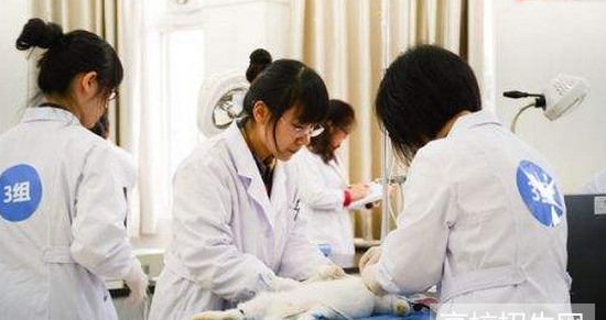 贵州省临床医学专业学校报名条件