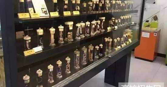 贵州省中医药专业学校报名条件