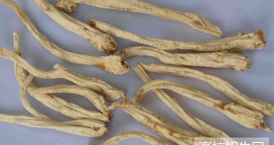 重庆市哪个中医药专业学校好及录取分数线