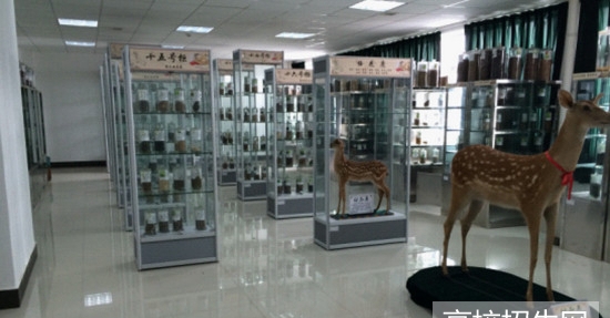 重庆市中医药专业学校怎么样，好不好