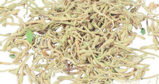 贵州省中医药专业大专学校名单有哪些