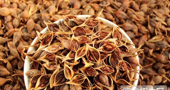 重庆市开设有中医药专业专科院校有哪些