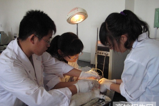 重庆市临床医学专业学校有哪些