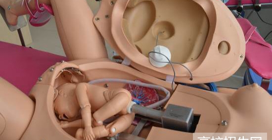 重庆市助产专业学校哪些好