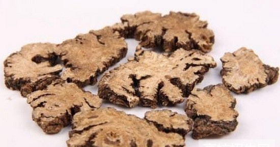 重庆市中医药专业学校哪些好