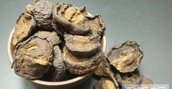 重庆市中医药专业学校有哪些