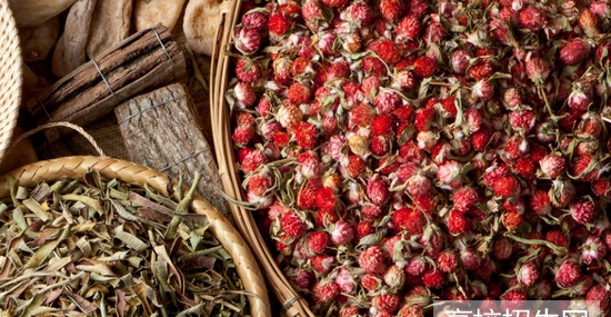 重庆市中医药专业学校报名时间