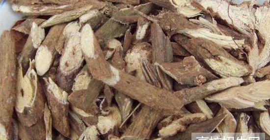 贵州省哪些学校有中医药专业课程