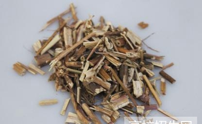 重庆市哪些大专学校的中医药专业好