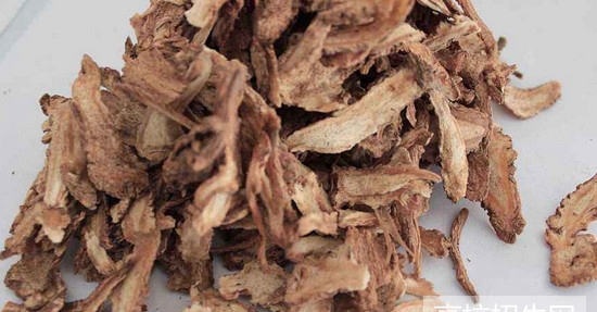 贵州省有中医药专业的专科学校