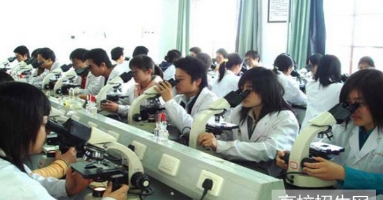 重庆市什么中医药专业学校好