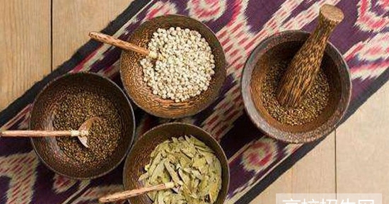 重庆市哪些大专学校有中医药专业