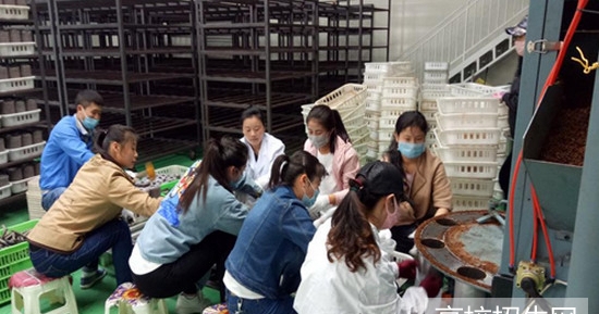 云南省药剂专业学校报名时间