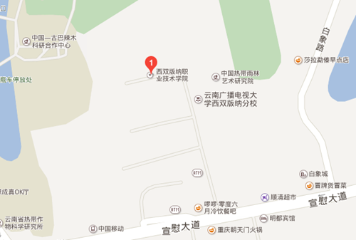 西双版纳职业技术学院医学部