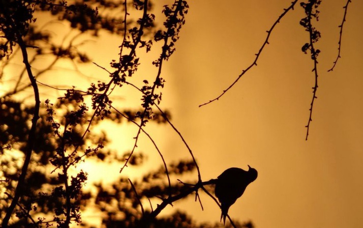 三峡联合职业大学宿舍条件及图片