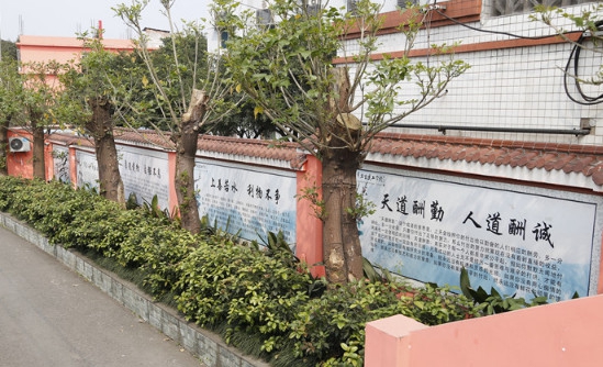 重庆市南丁卫生职业学校