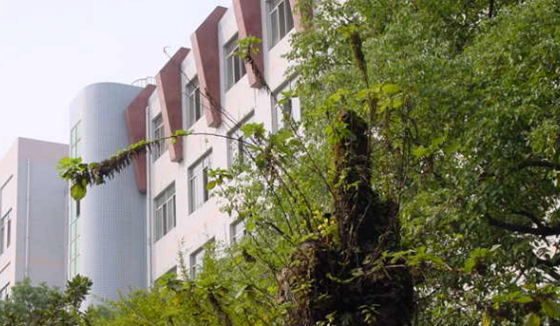 黔西南民族职业技术学院招生老师QQ及电话