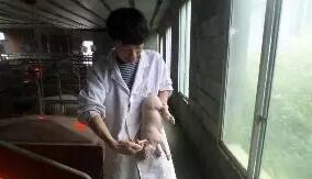正安中等职业学校优秀学生介绍——任传林