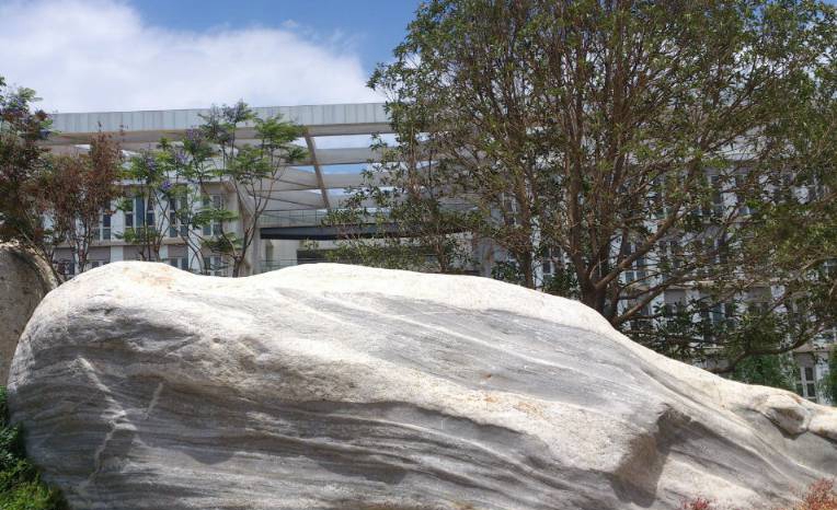 昆明医科大学2020招生录取分数线