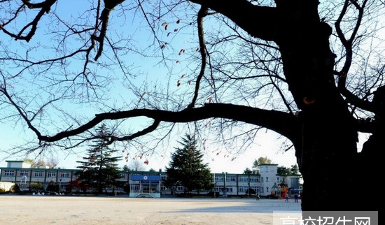 南充兴光技工学校