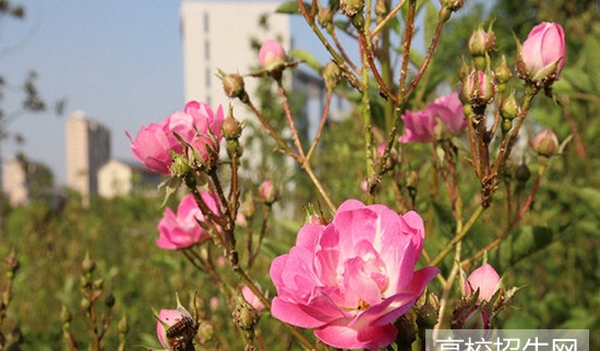 遂宁市机电职业技术学校