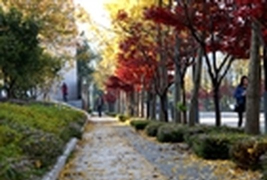 云南林业职业技术学院树人大道3